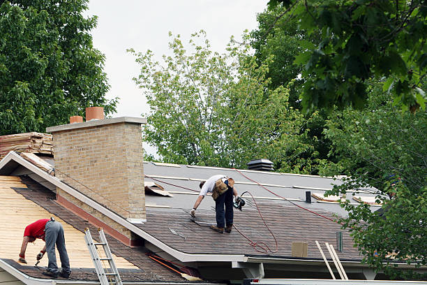 Best Roof Gutter Cleaning  in Medulla, FL